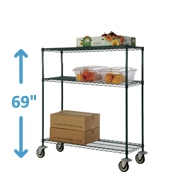 69" High Freezer Mobile Units